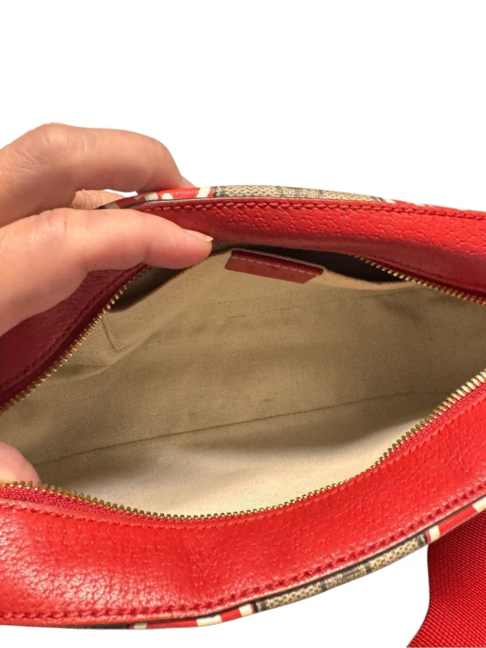 Gucci GG Supreme Apple Camera Bag limited capsule collection preppy girhoodcore